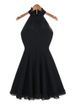 Ladylike Black Halter Waisted Women's Pleated Dress -  