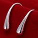 Alloy Fish Hook Earrings -  