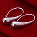 Alloy Fish Hook Earrings -  
