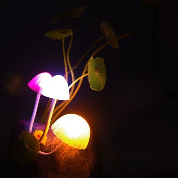 [85% OFF] Creative Colorful Mushroom Room Decor LED Night Light | Rosegal