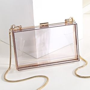 Snake Chain Metal Trimmed Evening Bag