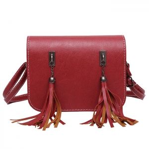 Flap Twin Tassel Crossbody Bag
