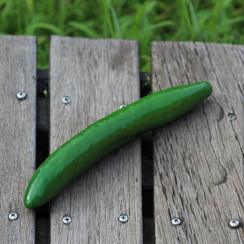 

Artificial Foam Vegetable Decorative Simulation Cucumber, Apple slice