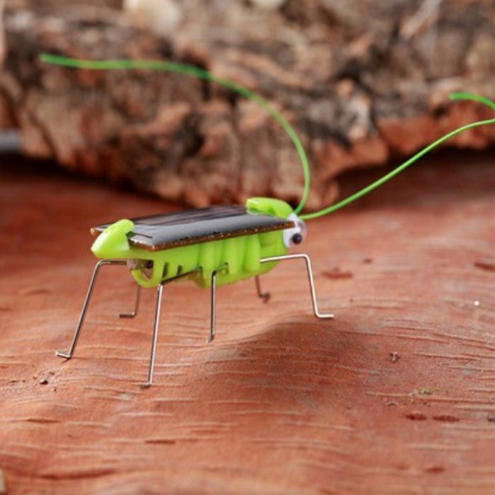 

Solar Powered Grasshopper Educational Toy, Green