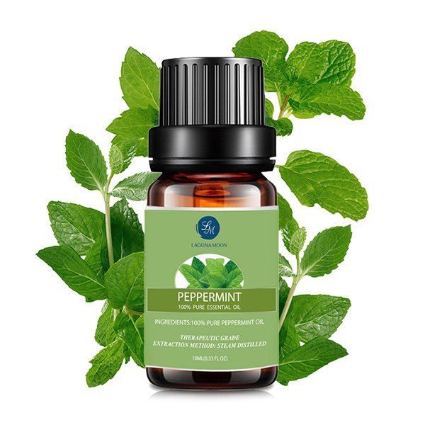 

10ml Premium Therapeutic Peppermint Aromatherapy Essential Oil, Green