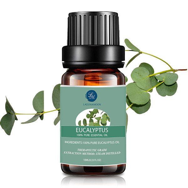 

10ml Eucalyptus Premium Therapeutic Aromatherapy Essential Oil, Green