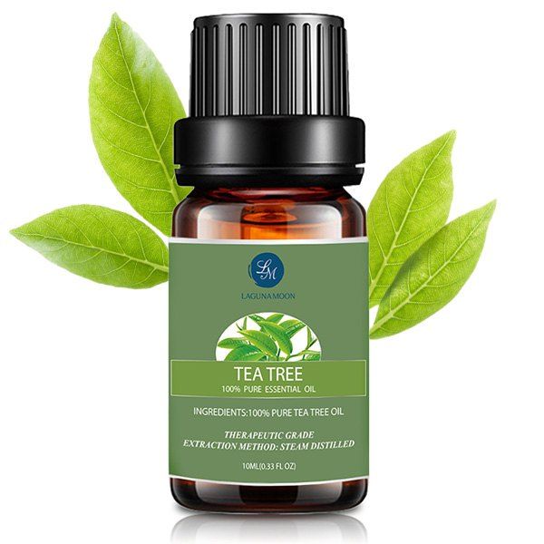 Tea tree extract. Масло чайного дерева Тайланд. Листья чайного дерева косметика. Эфирное масло зеленое яблоко. Tea Tree Oil natures тайская косметика.