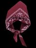 Foulard Carré à Imprimé Cachemire -  