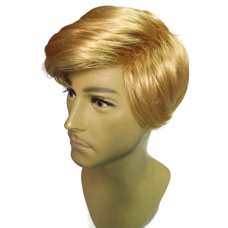 

Side Parting Short Straight President Donald Trump Cosplay Man Wig, Golden