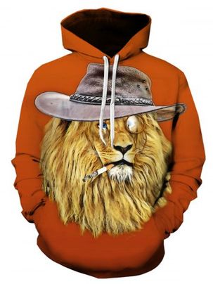 3D Hat Lion Print Pullover Hoodie