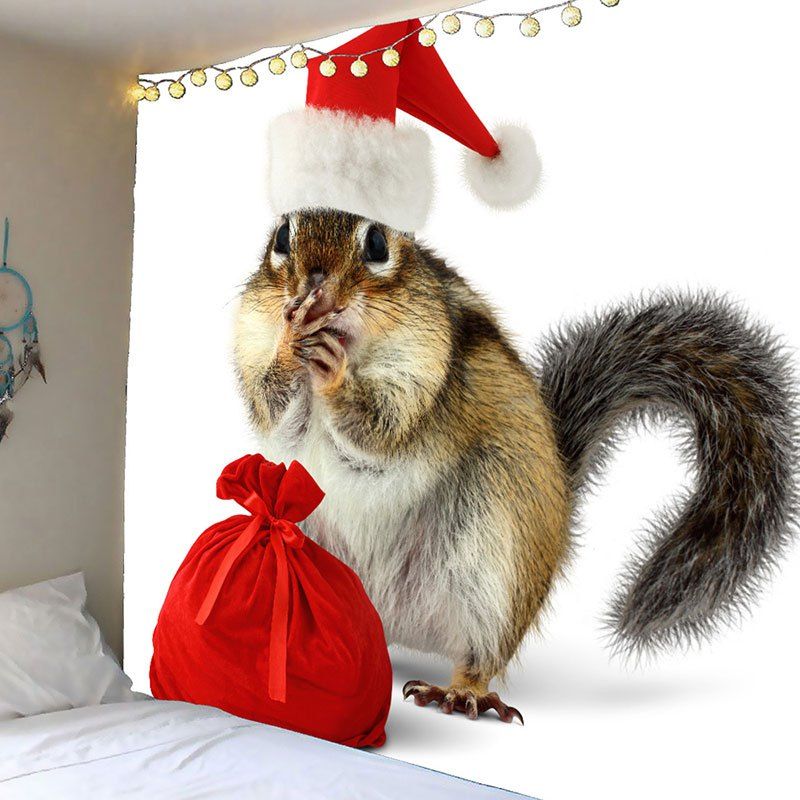

Waterproof Christmas Squirrel Printed Wall Tapestry, Colormix