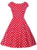 Vintage Polka Dot Skater Dress -  