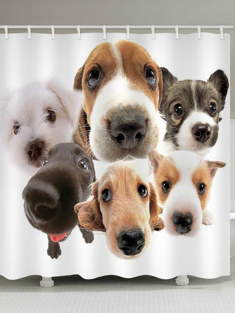 Pets with us. Pets with us