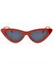 Lunettes Solaires Catty avec Verres Plates et Monture en Plastique Anti UV -  