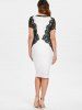 Lace Panel Contrasting Bodycon Dress -  
