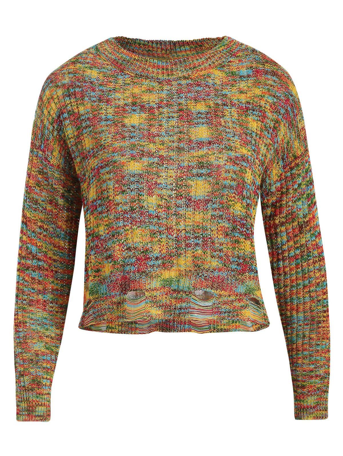 

Colorful Ripped Crop Knitwear, Multi