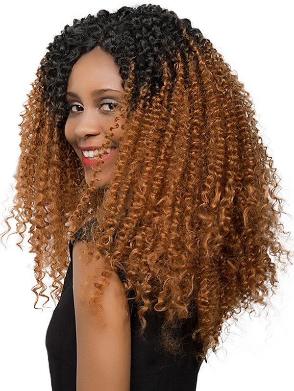 

Gradient Jerry Curly Long Synthetic Wig, Multi