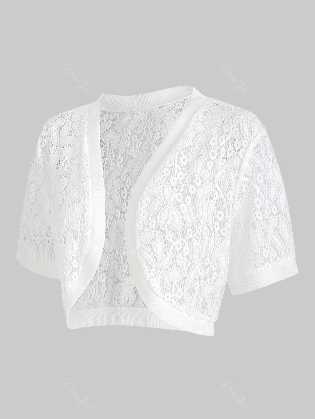 

Lace Panel Plus Size Collarless Crop Top, White