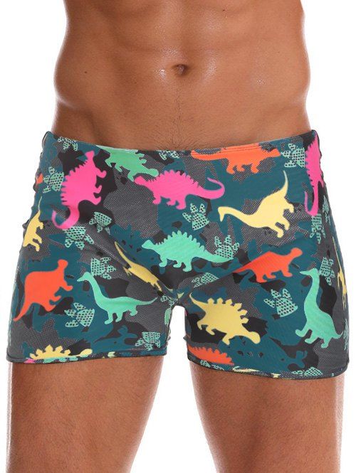 

Dinosaur Pattern Swim Trunks, Multi