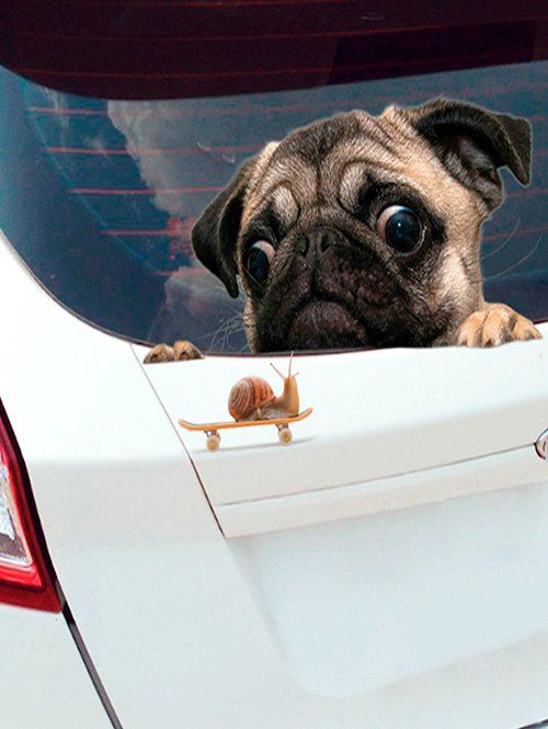 

Dog Snail Pattern Car Sticker Set, Multi-a