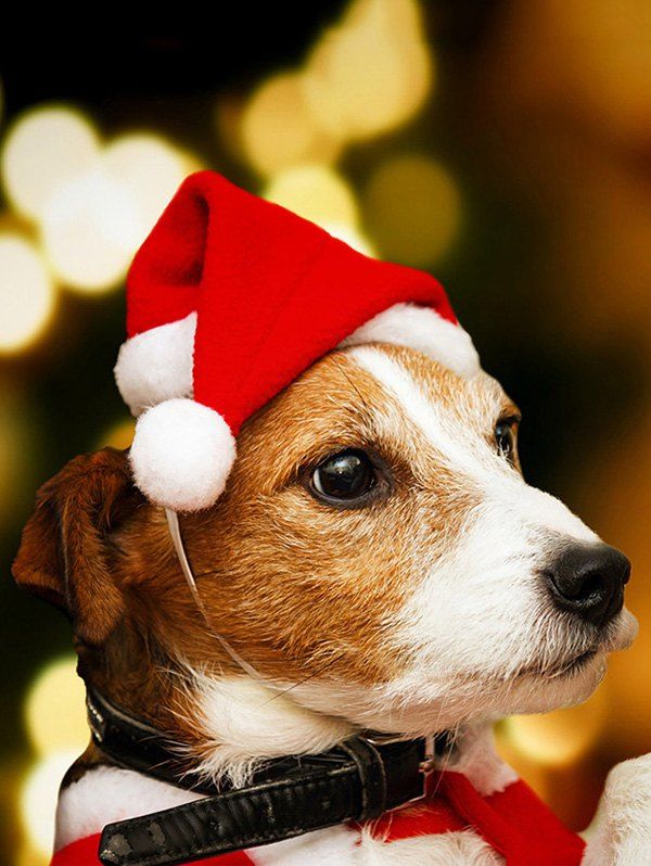 

4 Pcs Pet Clothes Dog Clothes Christmas Hats, Red