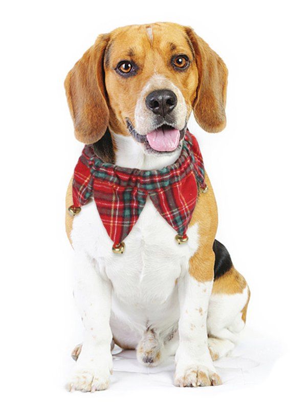 

Christmas Plaid Bell Pet Accessory, Red