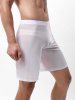 Sexy Plain Pinhole Mesh High Waist Shorts -  