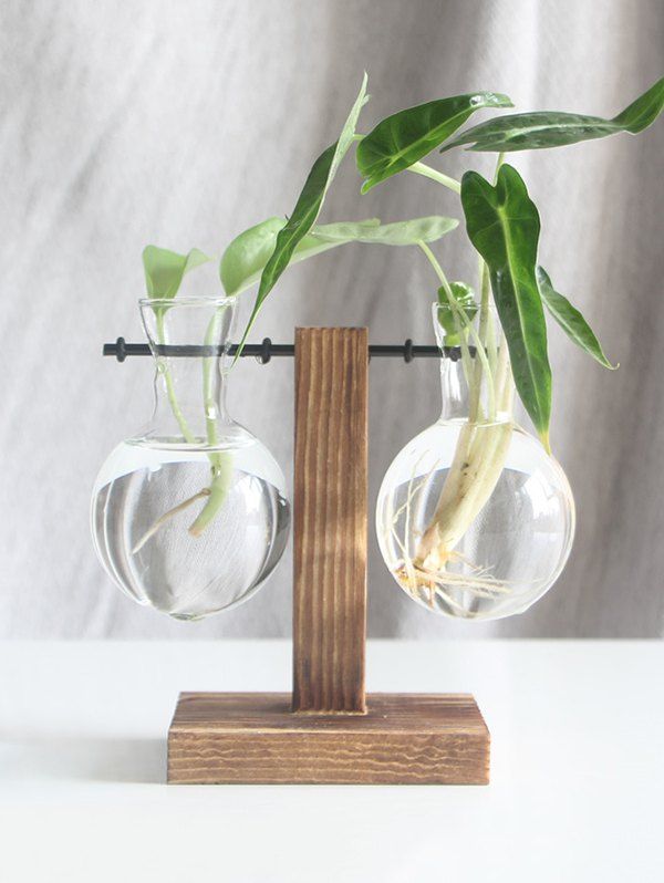 Home Decoration Wooden Base Water Planting Glass Vase [25% OFF] | Rosegal