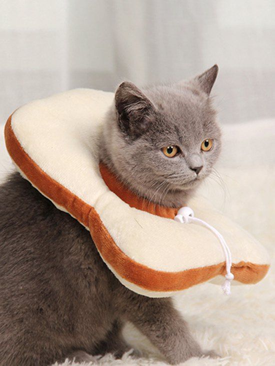 

Pet Costume Food Shape Adjustable Cat Collar, Multi-a