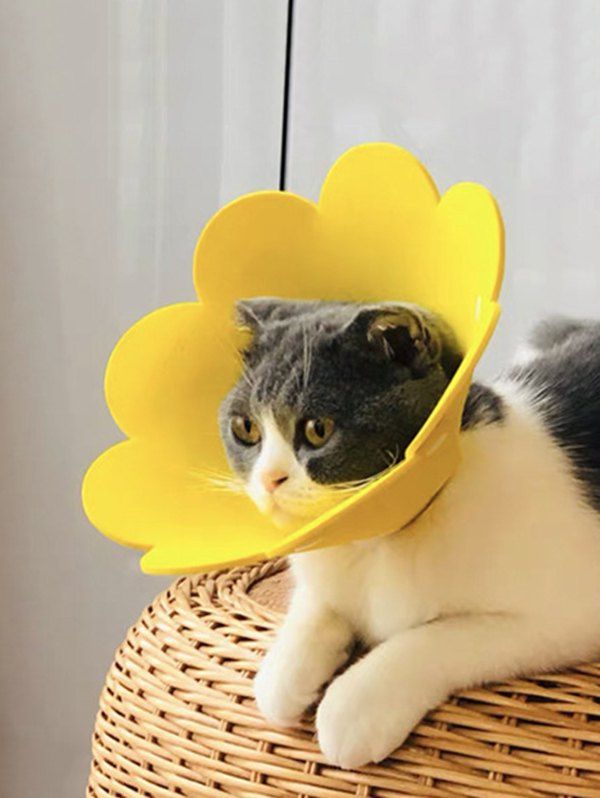 

Pet Costume Sunflower Shape EVA Foam Cat Collar, Yellow