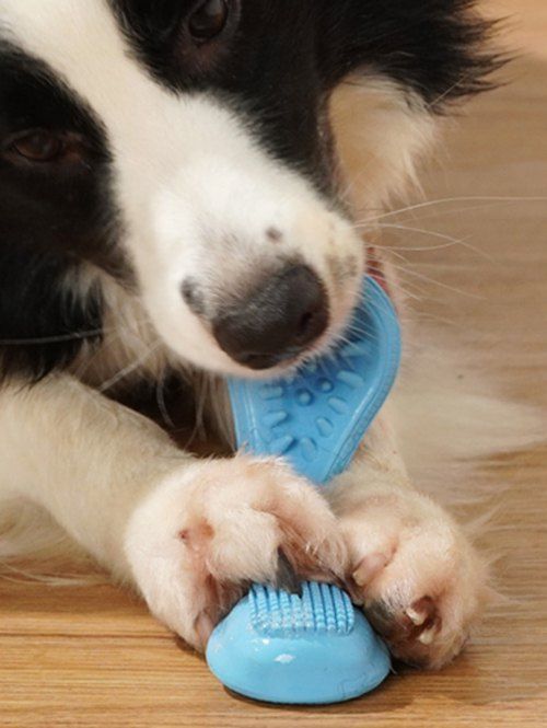 

Cleaning Molar Teeth Brush Spoon Shape Toy, Denim blue