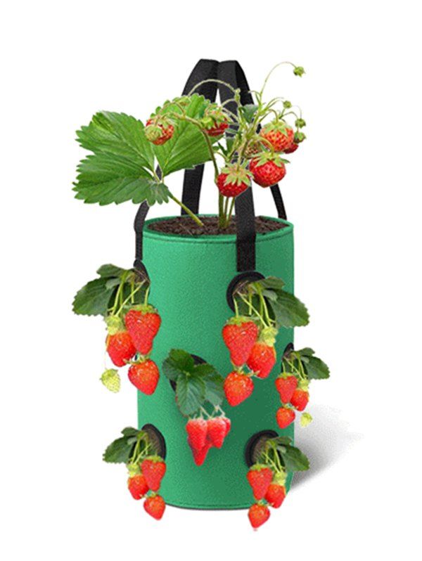 

12 Holes Strawberry Planting Basket Non-woven Hanging Bag, Deep green