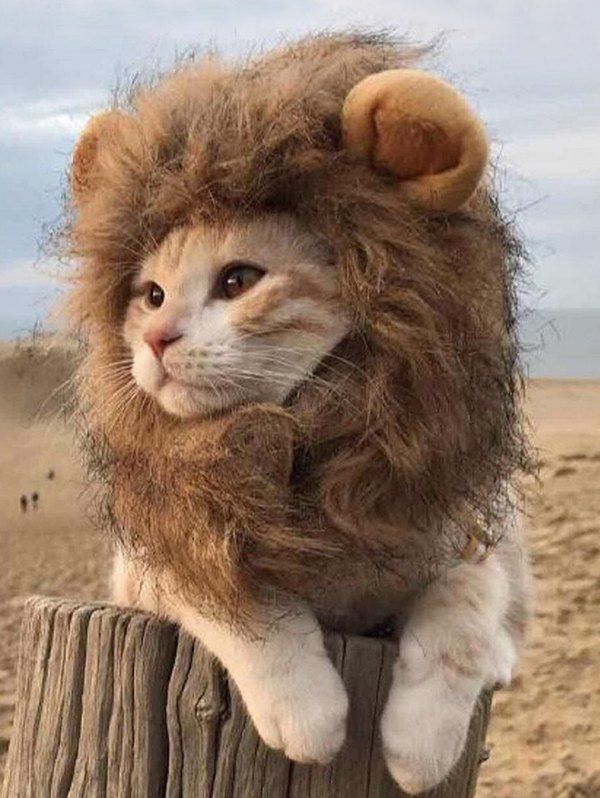 

Pet Costume Cosplay Animal Shape Faux Fur Cat Headgear, Multi-a