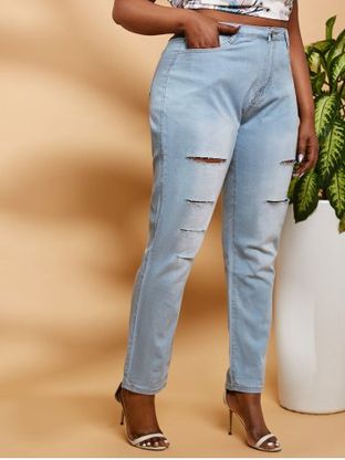 Ladder Distressed Mid Rise Plus Size Skinny Jeans