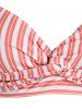 Plus Size Striped Twisted Bikini Swimsuit -  