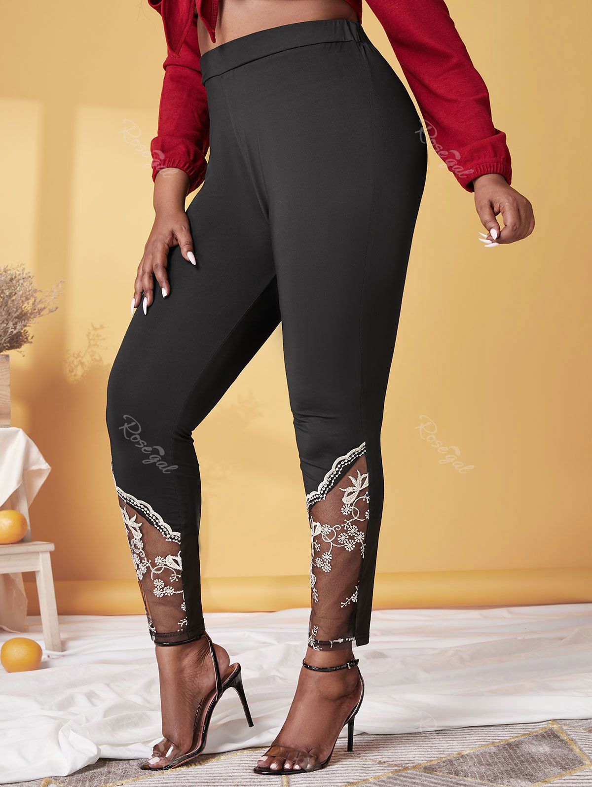 Chic Plus Size High Rise Embroidered Mesh Skinny Pants  