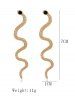 Winding Snake Shape Carved Stud Earrings -  