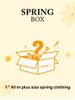 ROSEGAL Box - Plus Size 1*Random  spring clothing -  