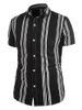 Balanced Stripe Print Casual Shirt -  