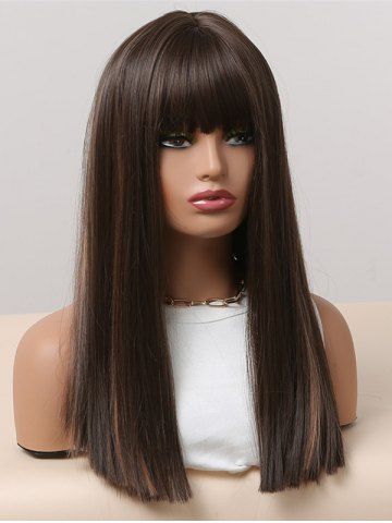 Brown Highlight Full Bang Silky Straight Synthetic Wig - BLACK EEL