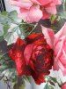 Plus Size Colorblock Rose Print T-shirt -  