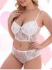 Plus Size Underwire Embroidered Sheer Lace Mesh Lingerie Bra Set -  