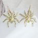 Halloween Spider Alloy Drop Earrings -  