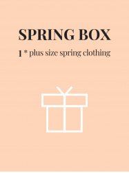 ROSEGAL Box - Plus Size 1*Random Spring Clothing -  