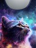 Plus Size Galaxy Cat Glitter Print T-shirt -  