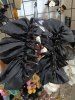 Fashion Glitter Fluffy Fabric Hair Claw -  