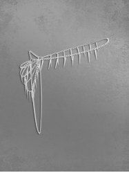 One Shoulder Rivet Tassel Body Chain -  