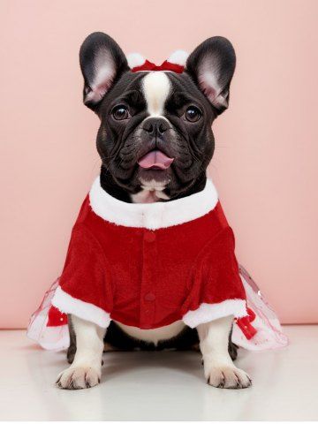 Pet's Gilding Stars Print Mesh Overlay Contrast Fur Piping Buckle Belted Button Christmas Dress with Bowknot Collar - RED - M