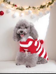 Pull à Capuche Animal Domestique Boule de Noël Imprimé en Laine - Rouge L