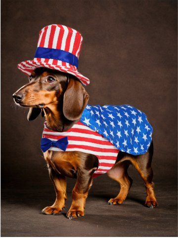 Pet's Patriotic American Flag Print Bowknot Coat With Hat - BLUE - M